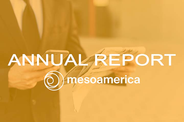 Mesoamerica GRI Annual Report 2020